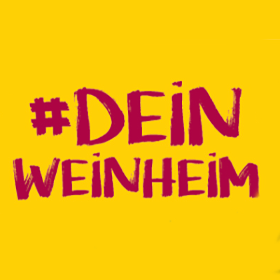Jugendarbeit im Fokus: Kamingespräch mit OB-Kandidierenden in Weinheim